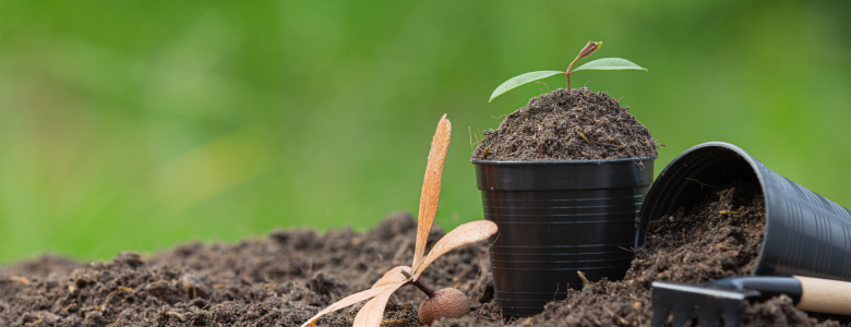 close-up-picture-garden-equipment-put-soil-compost