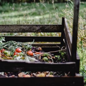 compost-bin