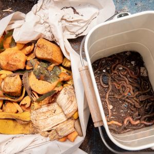 compost-product-vegetable-waste