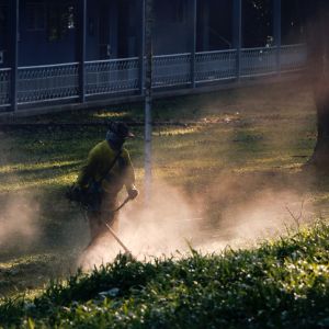 trimmed-grass-man