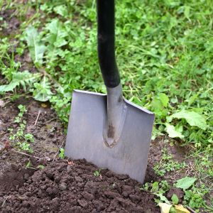 digging-lawn-grass