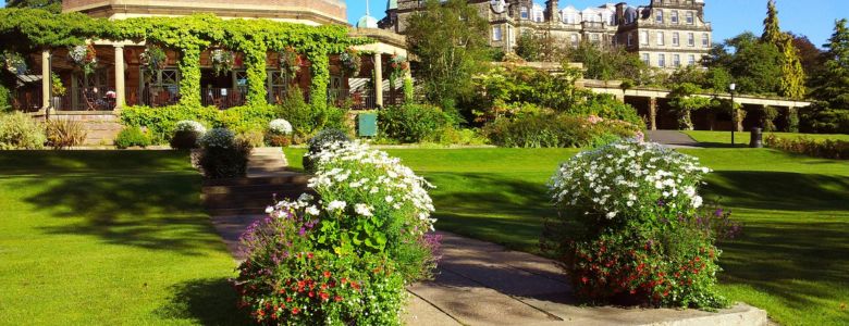 fresh-grass-your-yard-fresh-flowers