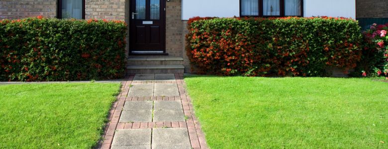 home-lawn-greener-plants-grass