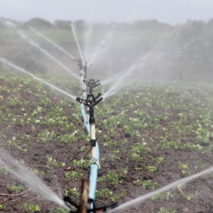 home-lawn-irrigation-system-water