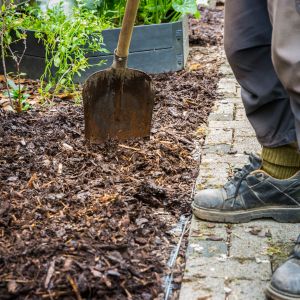 mulch-weed-control