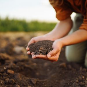 soil-preparation