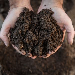 soil-sample-connection