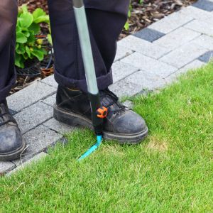 stone-edging-garden