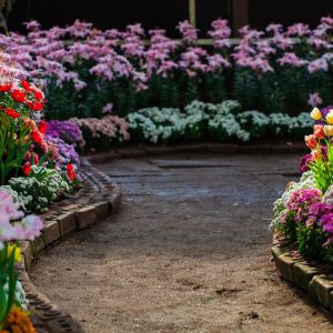 trench-edging-garden