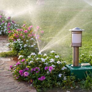 watering-lawn